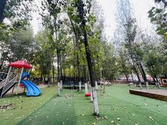 -北京梧桐树双语幼儿园