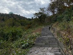 -北仑森林植物园