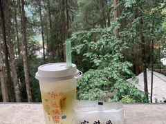 -寂照庵