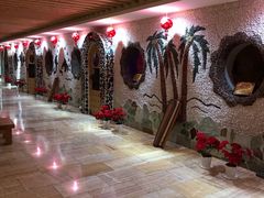 -碧中海汤泉汗蒸酒店