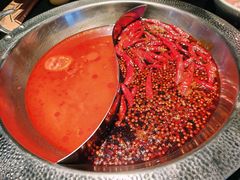 -宽巷子成都火锅(南站店)