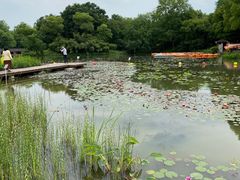 -西溪国家湿地公园