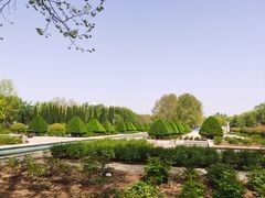 -洛阳市隋唐城遗址植物园
