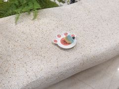 -帕帕拉兹宠物(亚洲旗舰店)