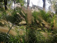 -中国工商银行(漕河泾开发区支行)