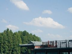 -东湖落雁景区