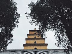 -大慈恩寺(大雁塔)