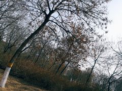 -秀水公园