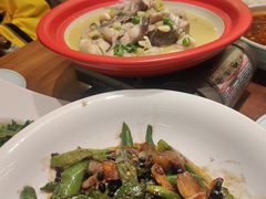 -春茗熙