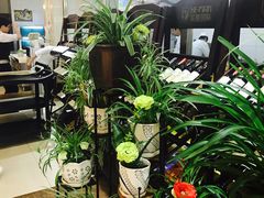 -老虎滩船说·海胆水饺·大连海鲜(老虎滩店)
