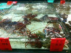 android_upload_pic-渔傅·蓝海岸霞浦海鲜(正祥店)