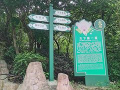 -南海湾森林生态园