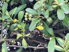 -白塘生态植物园
