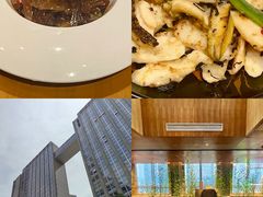 -广州富力君悦大酒店空中花园