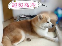 -餐酒吧Com-ing Bar(上海路店)