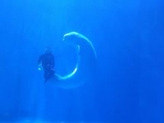 -多彩贵州城极地海洋世界