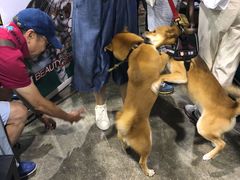 -香港会议展览中心演讲厅