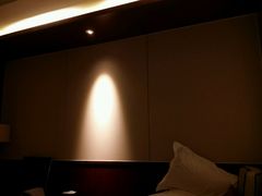 -世纪缘湖滨花园酒店(玄武湖店)