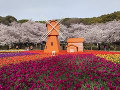 -苏州上方山国家森林公园