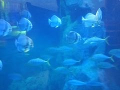 -威海华夏城景区