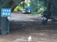 -硇洲岛旅游区