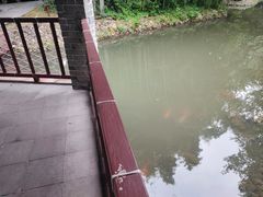 -八大山人梅湖景区