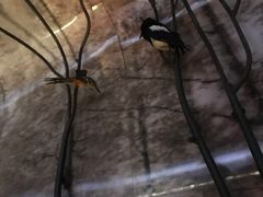 -杭州逸设计师酒店(武林广场店)