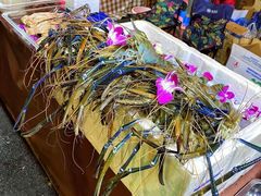 -凤城·食都