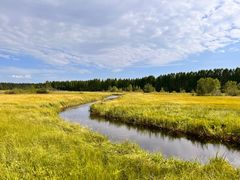 -塞罕坝国家级自然保护区