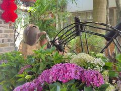 -园林美食城·本土农家菜(杨和镇店)