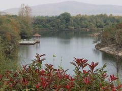 -嵖岈山风景区