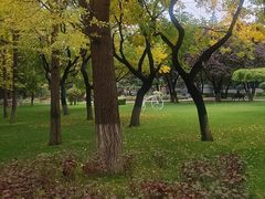 -金城公园