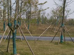 -春花秋色城市公园