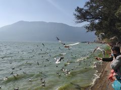 -滇池海埂公园