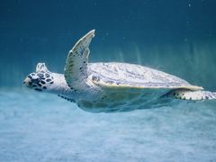 -常州海昌海洋探索馆