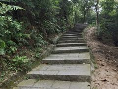 -火炉山森林公园