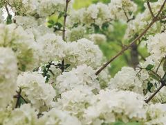 -大龙山(地铁站)