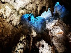 -怀托摩萤火虫洞