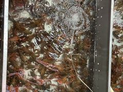 -拙味兄弟龙虾(新香洲店)