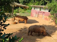 -泉州海丝野生动物世界