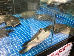 -滁香园·滁州菜(琅琊山店)