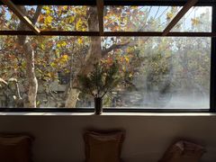 -毛辣果·酸(OHA复兴西路店)