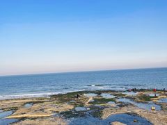 -巧克力渔家.小船海鲜胶东菜(万平口店)