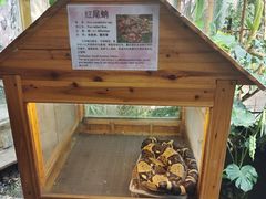 -上海大自然野生昆虫馆