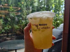 绿意菠萝海-墨相科学咖啡 Science nature & Coffee Bar