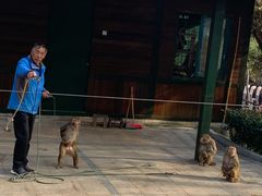 -南京金牛湖风景区