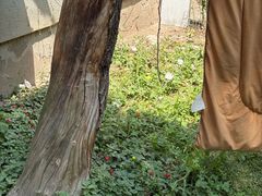 -洨河生态公园
