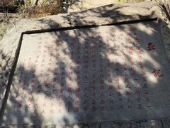 -崂山仰口游览区