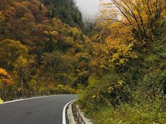 -叠溪松坪沟景区