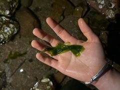 -青岛第三海水浴场